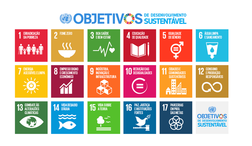 Agenda 2030, sustentabilidade e a proteção aos direitos humanos