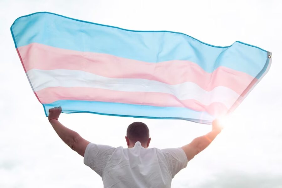 Nossa homenagem ao dia nacional da visibilidade TRANS